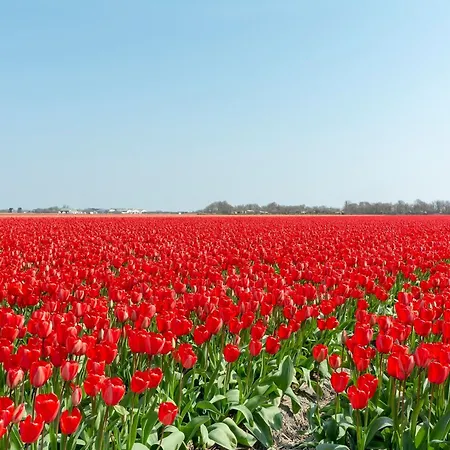 Daire Wellness For Couples Callantsoog